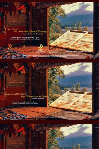 A Cold Cut or the Unbearable Echoes of Yearning film afişi