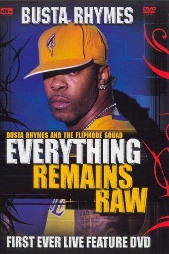 Busta Rhymes - Everything Remains Raw film afişi