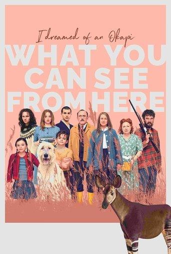 What You Can See from Here film afişi