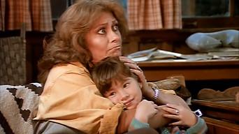 Father-Child Campout