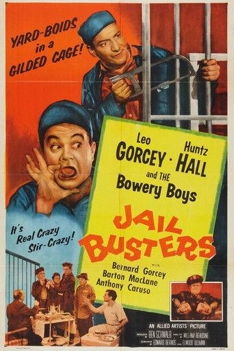 Jail Busters film afişi
