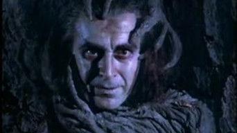 The Tale of Watcher's Woods