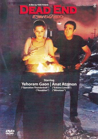 Dead End film afişi