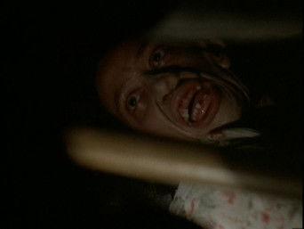 Behind the truth - Home