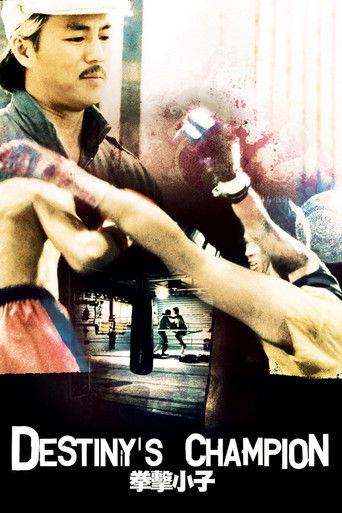 Destiny's Champion film afişi