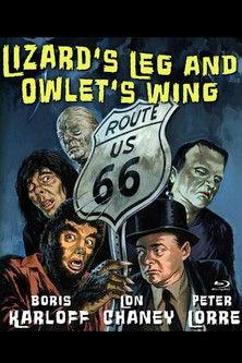 Lizard's Leg and Owlet's Wing film afişi