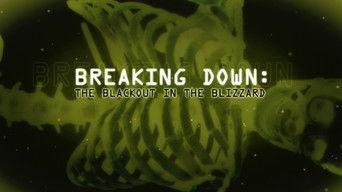 Breaking Down: The Blackout in the Blizzard