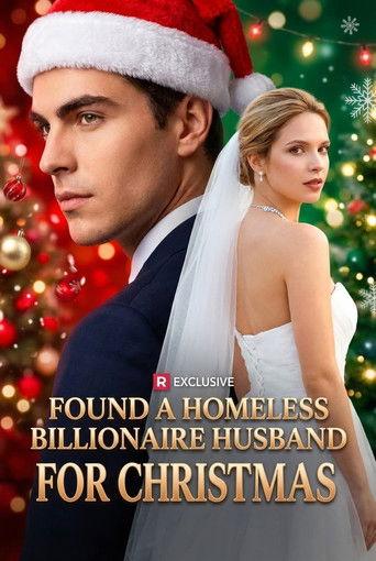 A Homeless Billionaire Husband for Christmas dizi afişi
