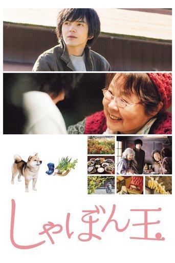 Where I Belong film afişi