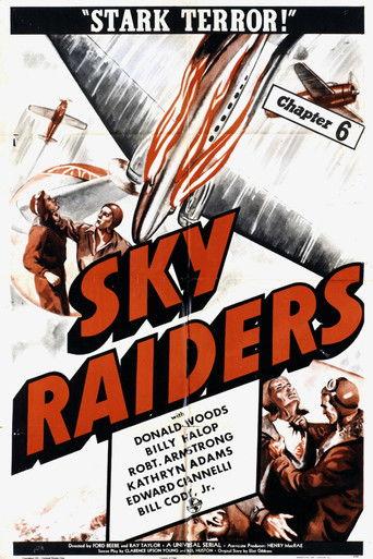 Sky Raiders film afişi