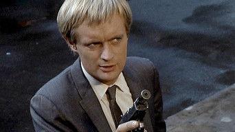 The Dippy Blonde Affair