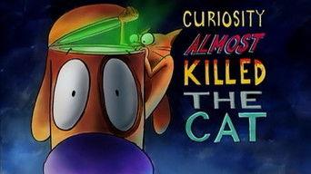 Curiosity Almost Killed The Cat