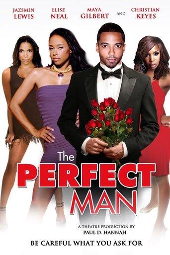 The Perfect Man film afişi