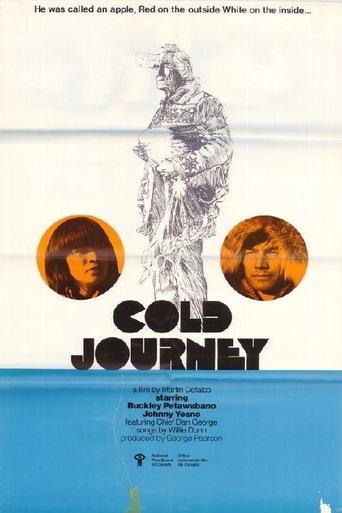 Cold Journey film afişi