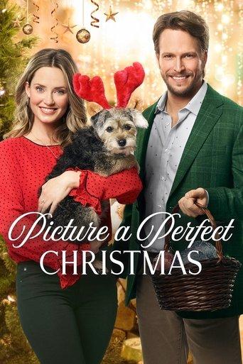 Picture a Perfect Christmas film afişi