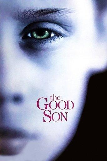 The Good Son film afişi
