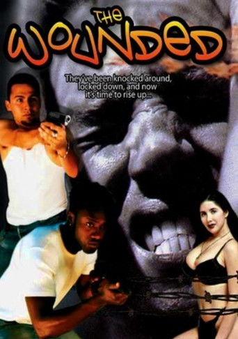 The Wounded film afişi