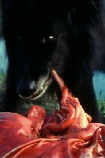 Hostel Party film afişi