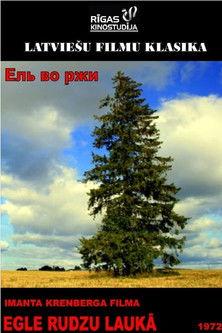 Egle rudzu laukā film afişi