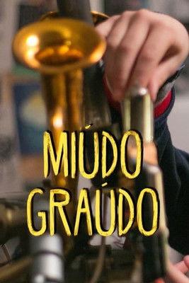 Miúdo Graúdo dizi afişi