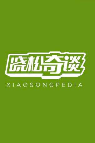 Xiaosongpedia dizi afişi