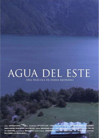 Agua del este film afişi
