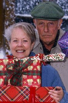 The Wisdom Of The Witch film afişi