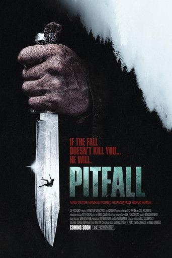 Pitfall film afişi