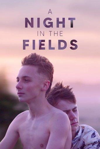 A Night in the Fields film afişi