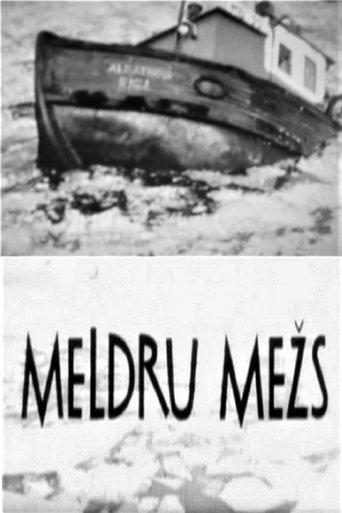 Meldru mežs film afişi