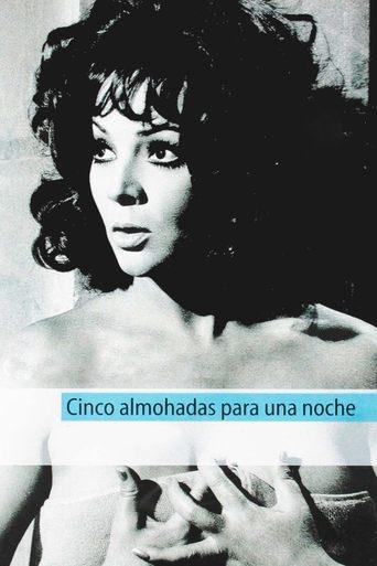 Five Pillows for One Night film afişi
