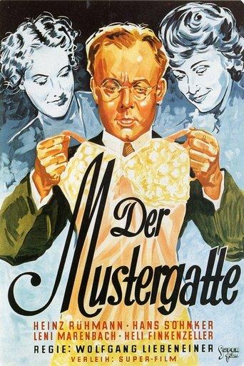 Der Mustergatte film afişi