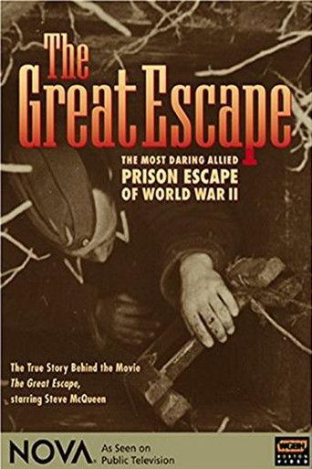 Great Escape film afişi