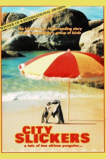 City Slickers: A tale of two African penguins film afişi