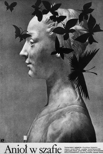 Angel in the Wardrobe film afişi