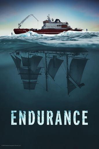 Endurance film afişi