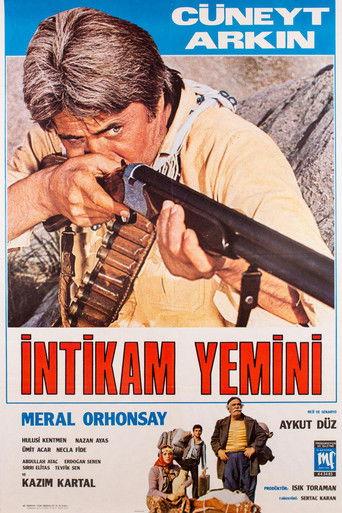 İntikam Yemini film afişi