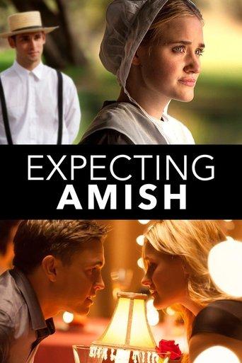 Expecting Amish film afişi