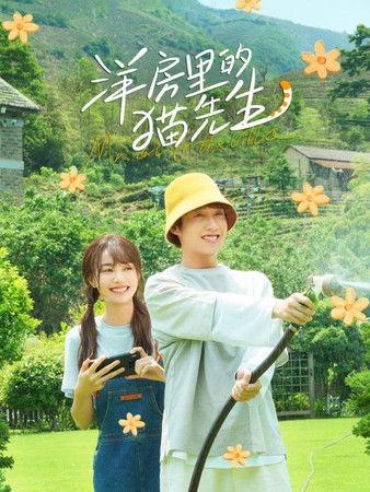 洋房里的猫先生 dizi afişi