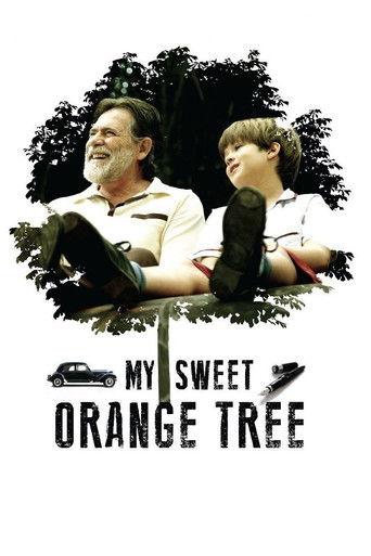 My Sweet Orange Tree film afişi