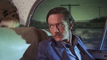 A Seat by the Window