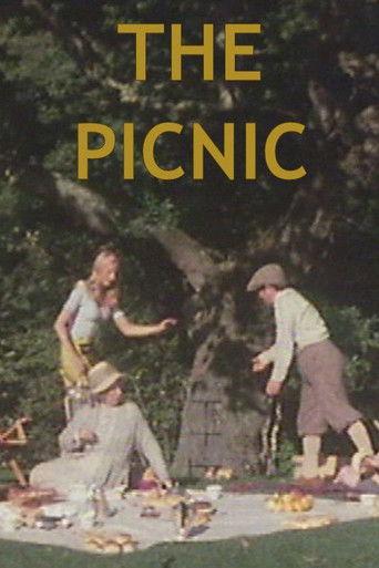 The Picnic film afişi