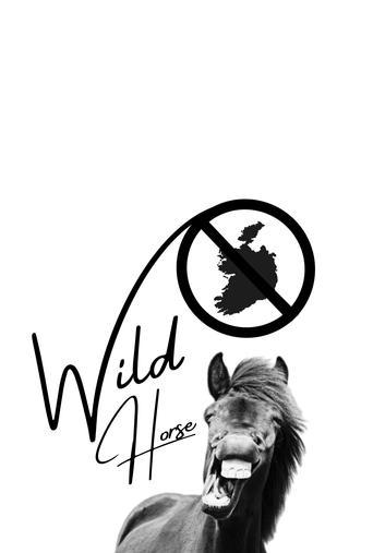 Wild Horse Nine film afişi