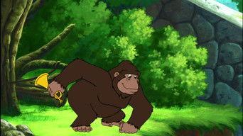 Where Is the Gorilla?