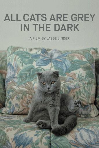 All Cats Are Grey in the Dark film afişi