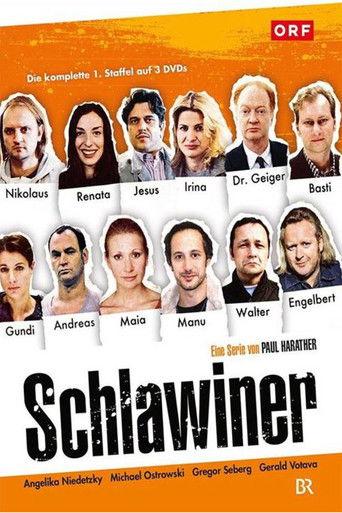 Schlawiner dizi afişi