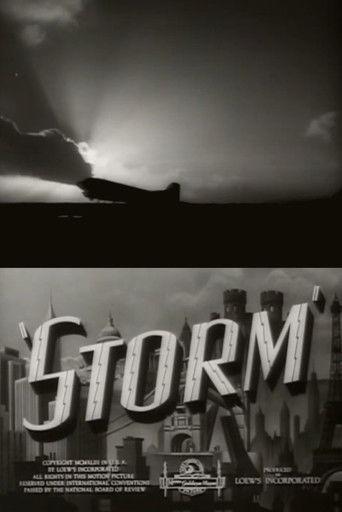 Storm film afişi