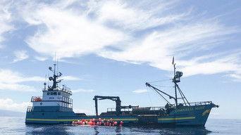 Cornelia Marie in Hawaii