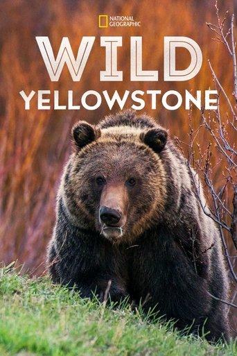Wild Yellowstone dizi afişi