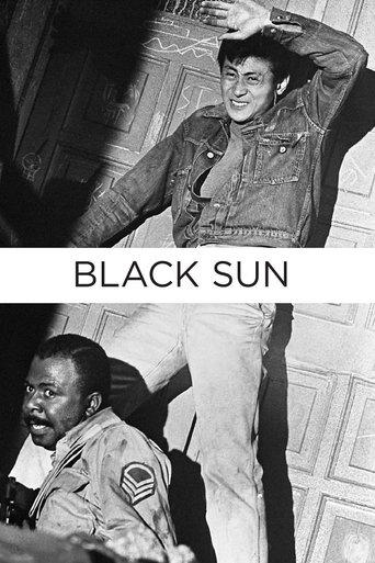 Black Sun film afişi